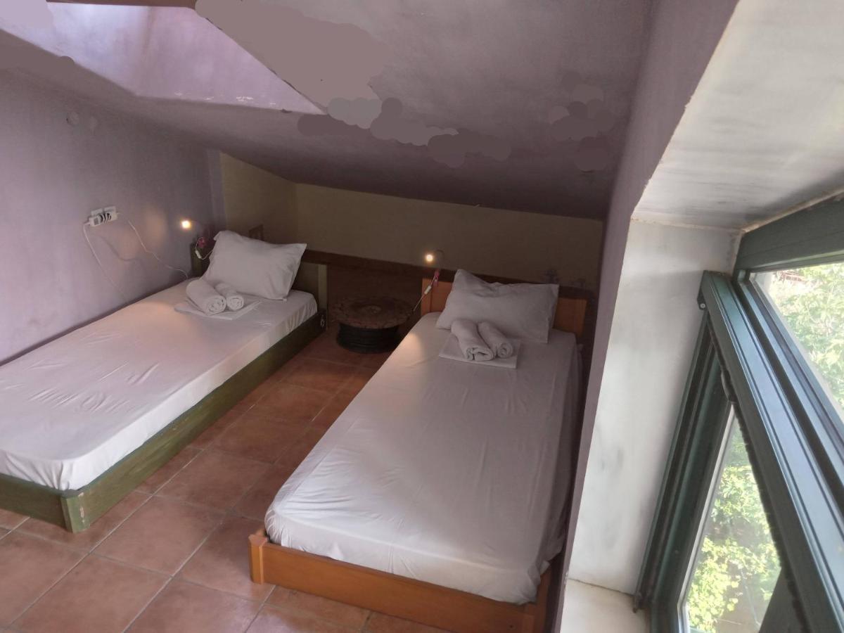 The White Rabbit Guesthouse Eco-Lodge "Cosy Apartment" Псахудиа Екстериор снимка